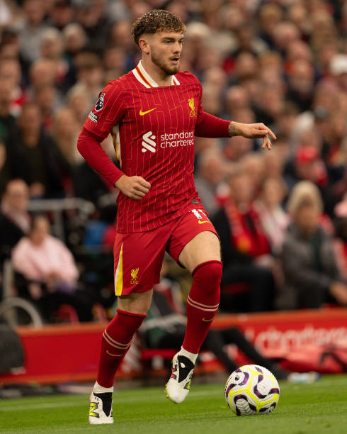 天才以其 天才以其